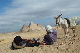 Tourist, guy and donkey, in front of Pyramids out in the desert.